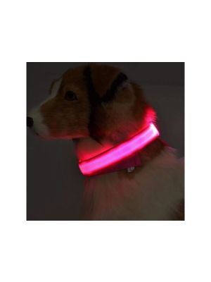 Świecąca obroża LED dla psa kota - image 2